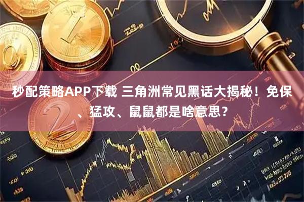秒配策略APP下载 三角洲常见黑话大揭秘！免保、猛攻、鼠鼠都是啥意思？