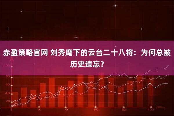 赤盈策略官网 刘秀麾下的云台二十八将：为何总被历史遗忘？