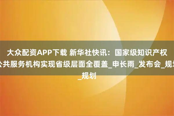 大众配资APP下载 新华社快讯：国家级知识产权公共服务机构实现省级层面全覆盖_申长雨_发布会_规划