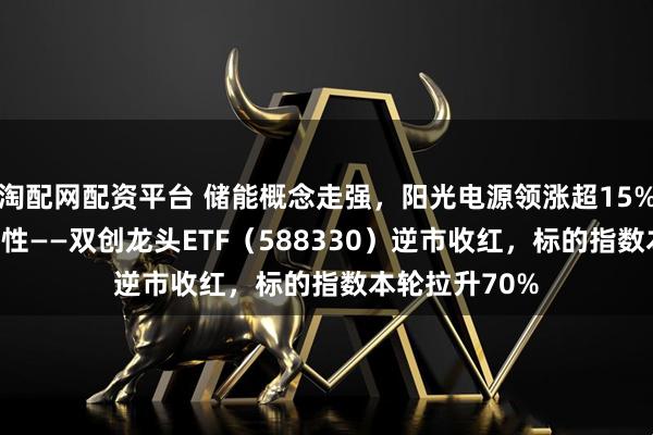 淘配网配资平台 储能概念走强，阳光电源领涨超15%！20CM高弹性——双创龙头ETF（588330）逆市收红，标的指数本轮拉升70%