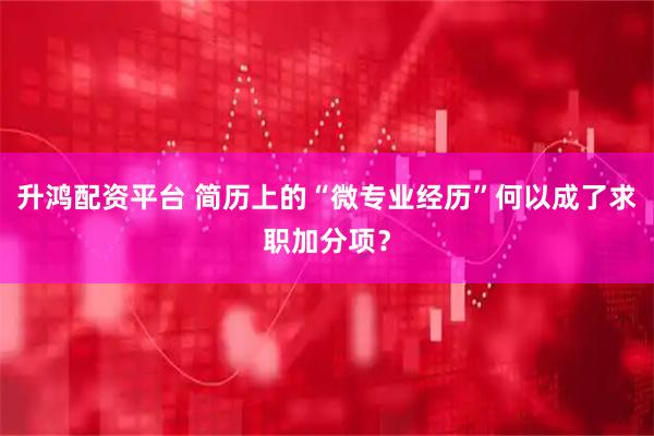 升鸿配资平台 简历上的“微专业经历”何以成了求职加分项？